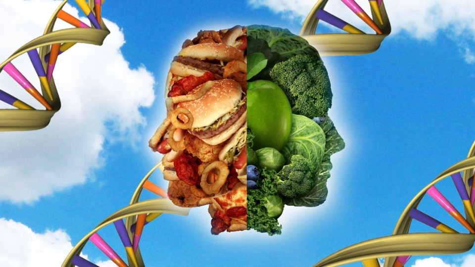 Nutrigenómica El Poder De Los Alimentos Para Cambiar Tus Genes Instituto Nutrigenómica 4530