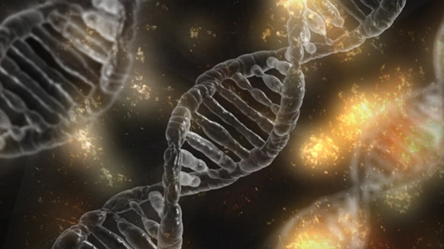 marcador genético del cáncer marcador genético del cáncer