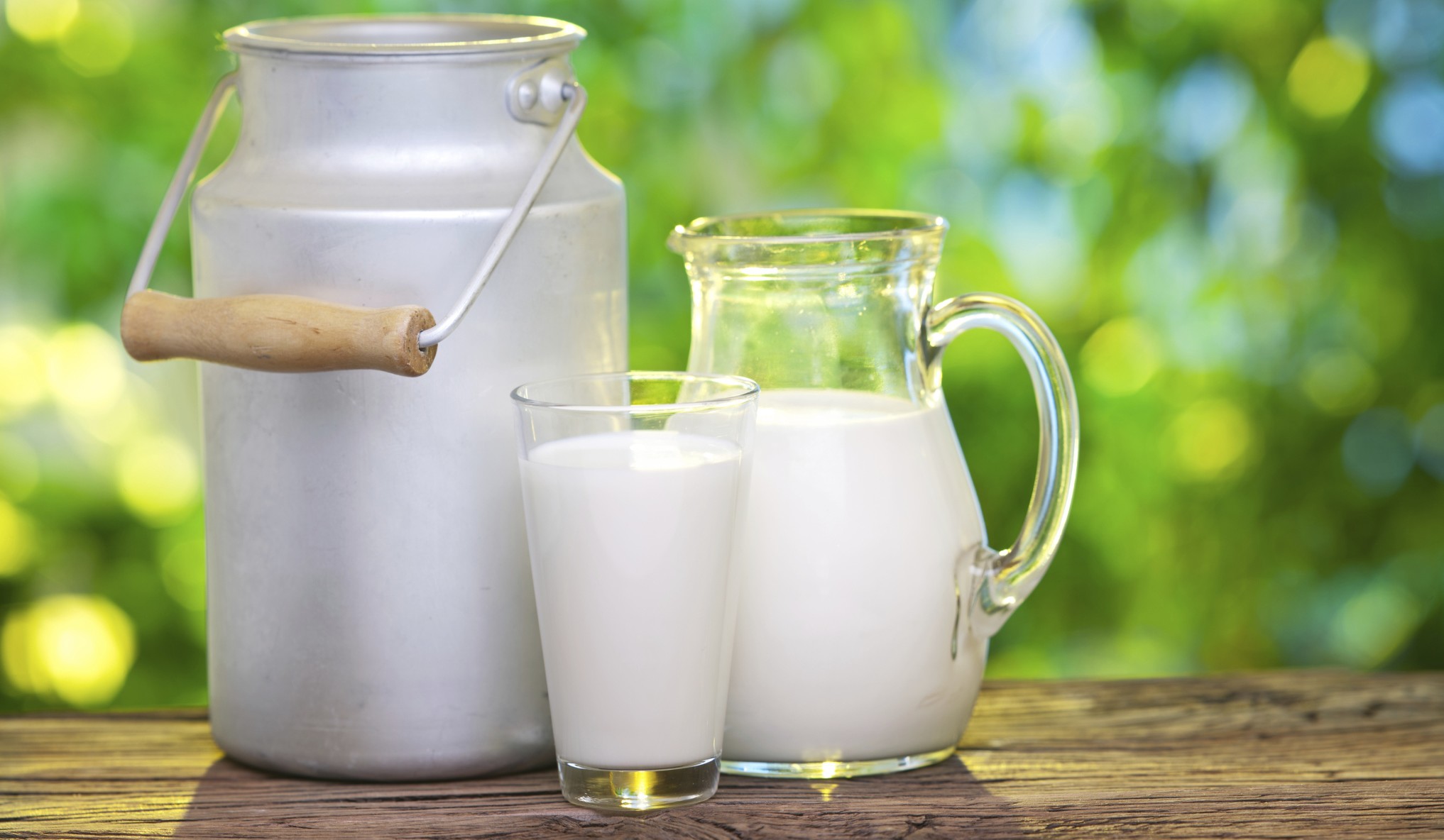 Los niños que beben leche entera tienen menor riesgo de sobrepeso